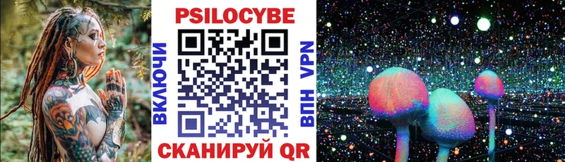 Купить  Чебоксары  Псилоцибиновые грибы Cubensis 